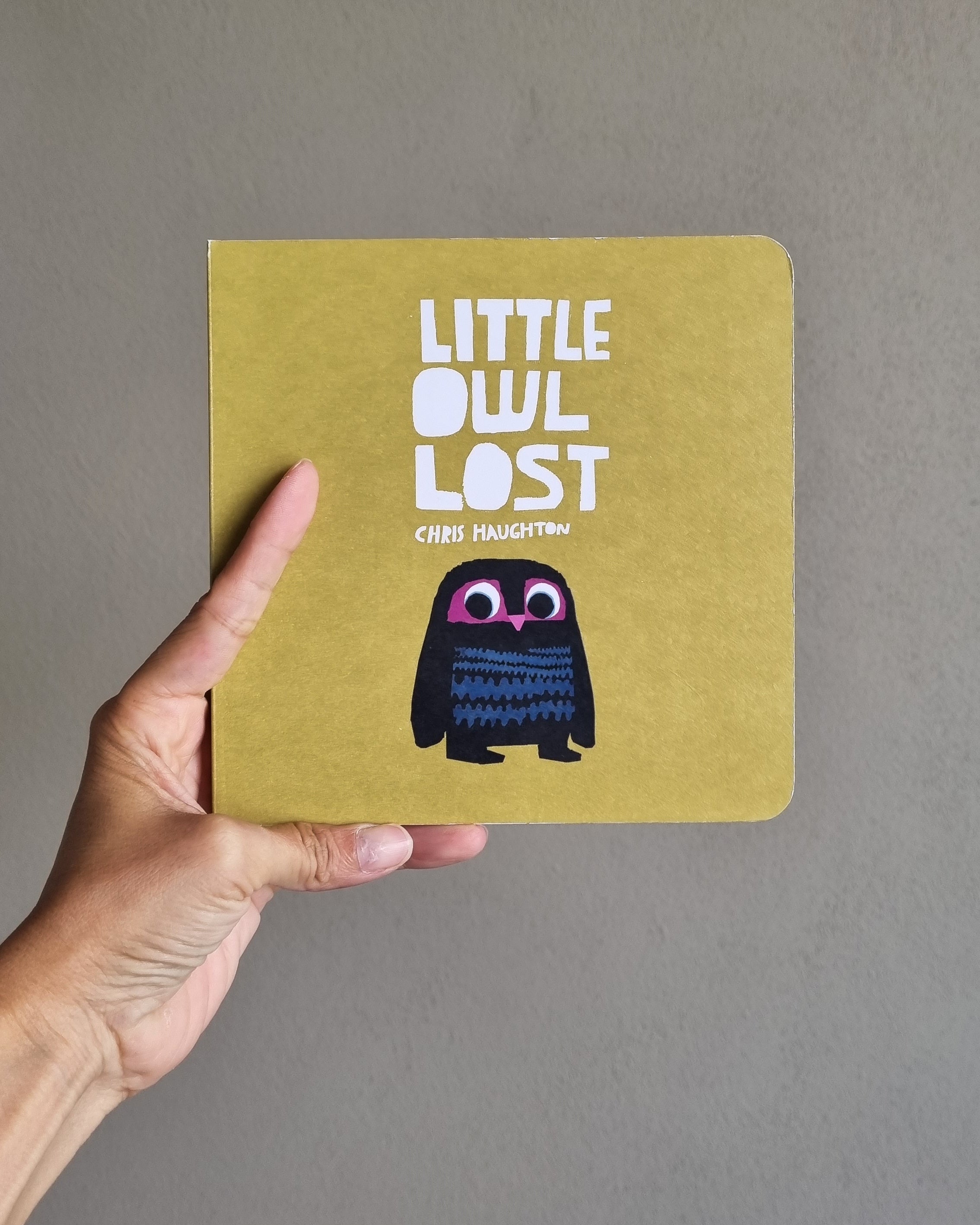 Little Owl Lost